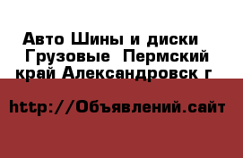 Авто Шины и диски - Грузовые. Пермский край,Александровск г.